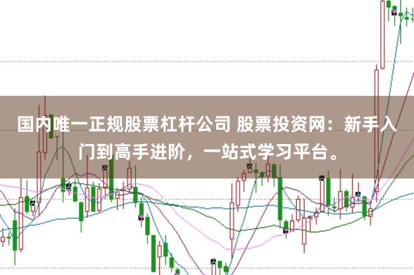 国内唯一正规股票杠杆公司 股票投资网：新手入门到高手进阶，一站式学习平台。