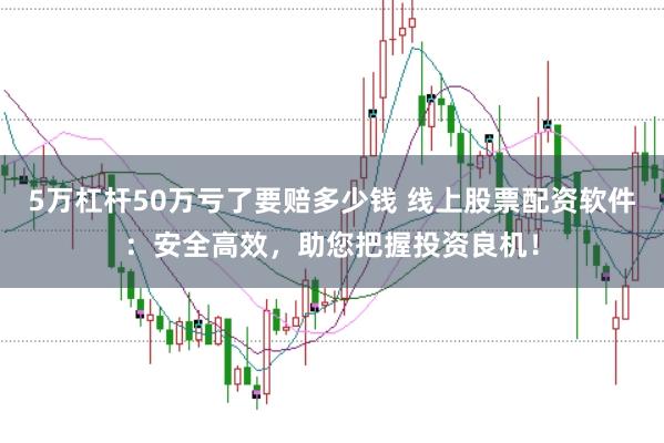 5万杠杆50万亏了要赔多少钱 线上股票配资软件：安全高效，助您把握投资良机！