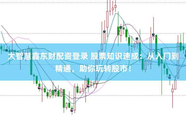 大智慧鑫东财配资登录 股票知识速成：从入门到精通，助你玩转股市！