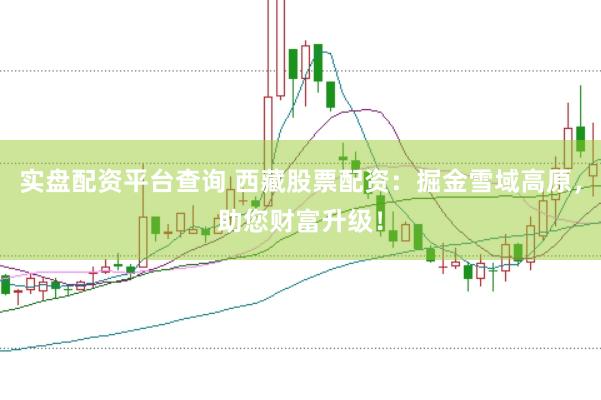 实盘配资平台查询 西藏股票配资：掘金雪域高原，助您财富升级！