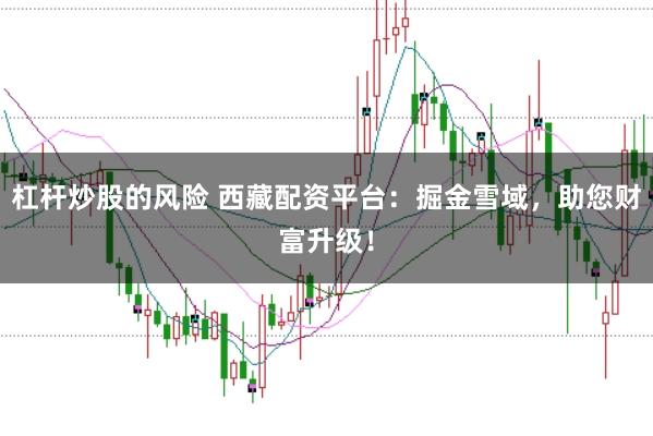 杠杆炒股的风险 西藏配资平台：掘金雪域，助您财富升级！