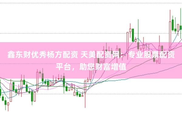 鑫东财优秀杨方配资 天美配资网：专业股票配资平台，助您财富增值