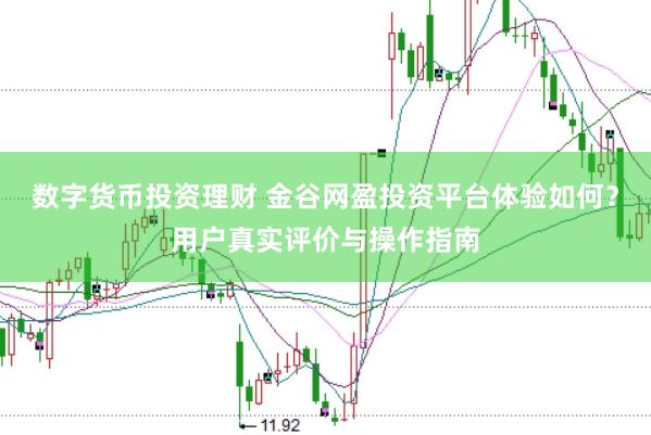 数字货币投资理财 金谷网盈投资平台体验如何？用户真实评价与操作指南