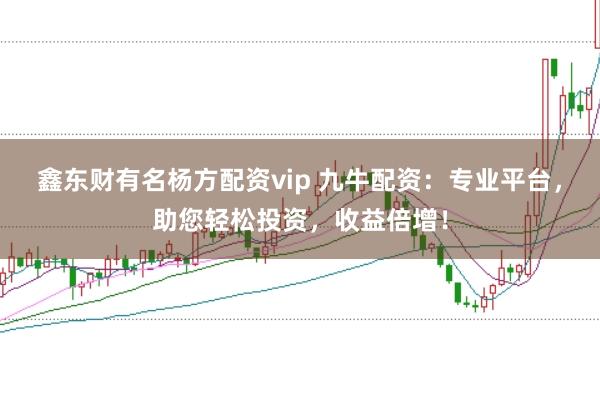 鑫东财有名杨方配资vip 九牛配资：专业平台，助您轻松投资，收益倍增！