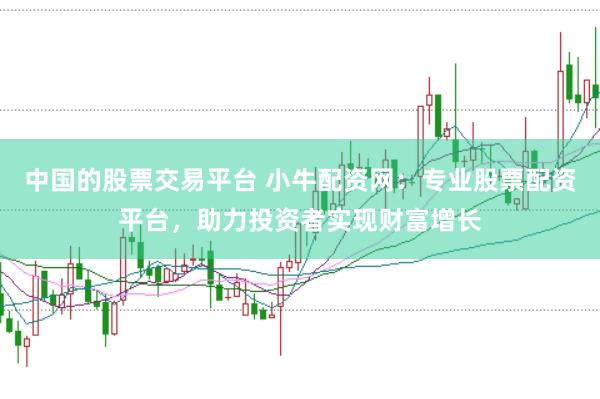 中国的股票交易平台 小牛配资网：专业股票配资平台，助力投资者实现财富增长